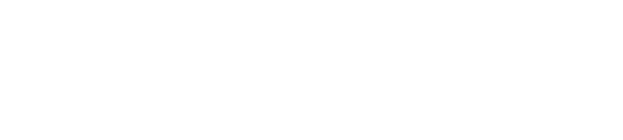 Liquid Instruments logo
